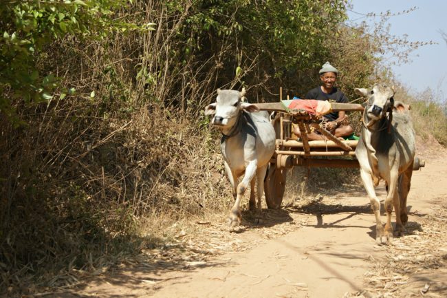 einheimischer Myanmar