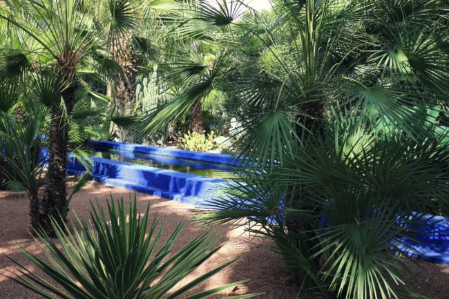 Wasserbecken Jardin Majorelle