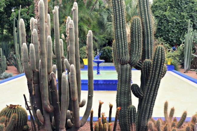 Springbrunnen Jardin Majorelle