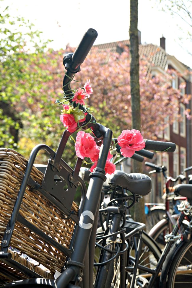 fahrrad delft