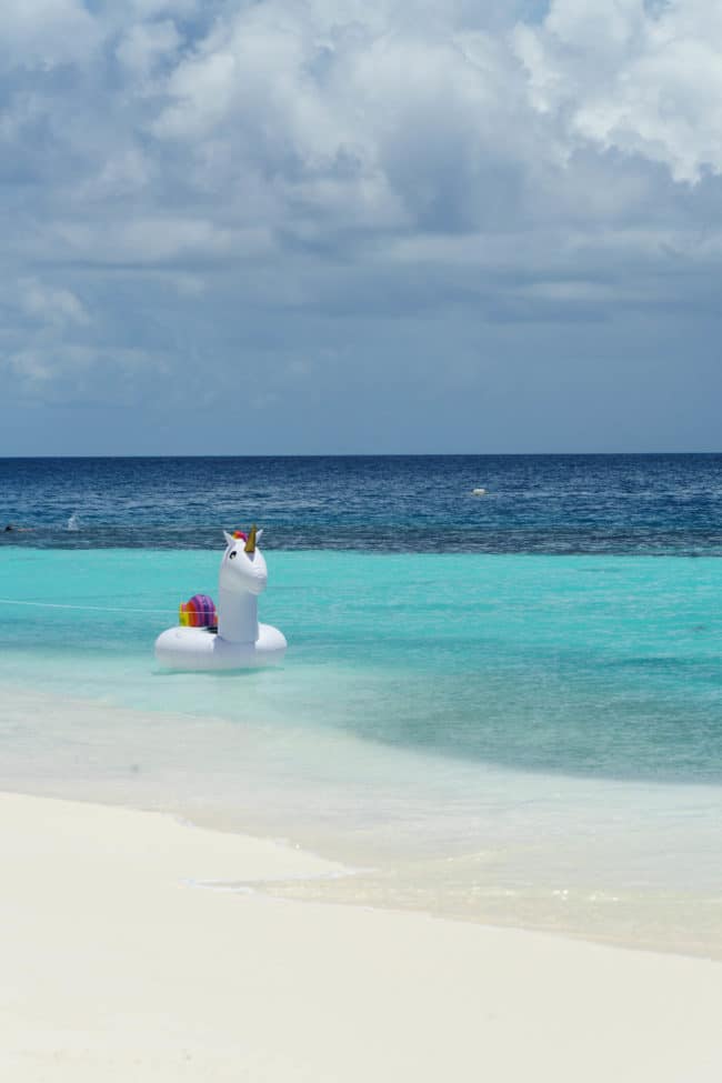 einhorn am strand